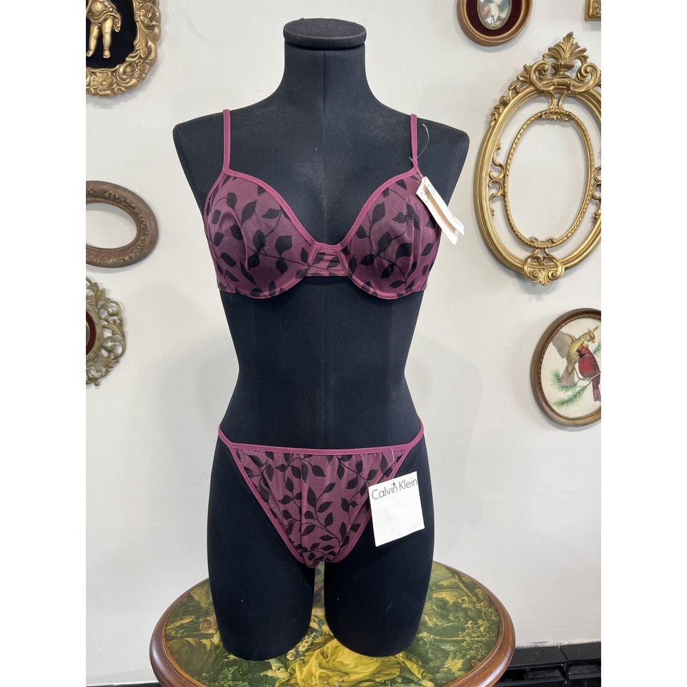 Calvin Klein Vintage Plum Burgundy Leaf Print Mesh Bra and Panty Set Size 36B /L